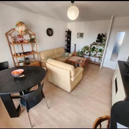 Arena View Stadium-arena-eurexpo Apartament *